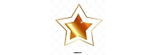 7 Star-logo