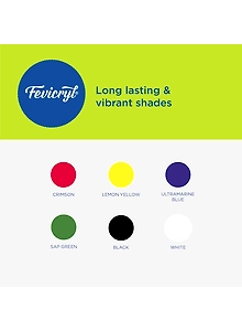 FEVICRYL LILAC KIT 6 Regular Shades(Acrylic Colours)