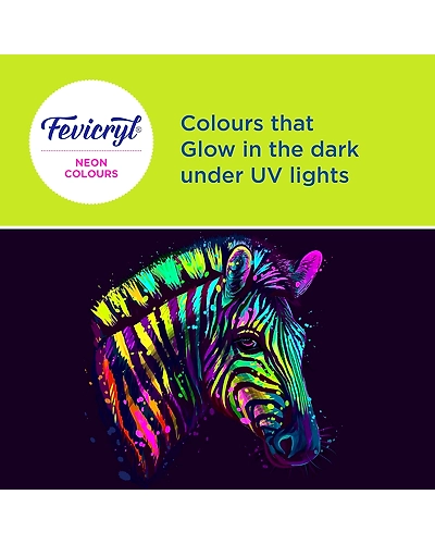 FEVICRYL NEON COLOUR KIT [4*15ML]-89000049
