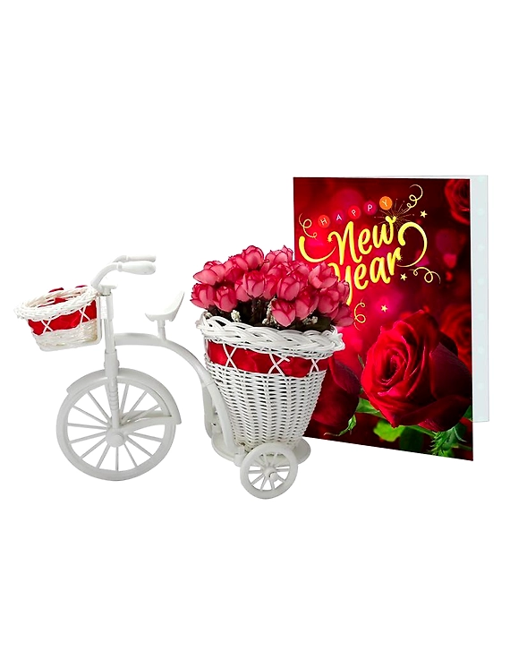 LOF New Year Gift For Friends Girlfriend Best Wishes and Home Decoration Flower Basket Cycle with Greeting Card ST-02-LOF-BIGCYCFLOCRD-02