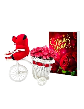LOF New Year Gift For Friends Girlfriend Best Wishes and Home Decoration Flower Basket Cycle with Greeting Card Teddy ST-04-LOF-BIGCYCFLOCRDTDY-04-sm