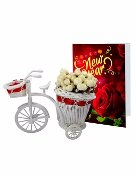 LOF New Year Gift For Friends Girlfriend Best Wishes and Home Decoration Flower Basket Cycle with Greeting Card ST-03-LOF-BIGCYCFLOCRD-03-sm