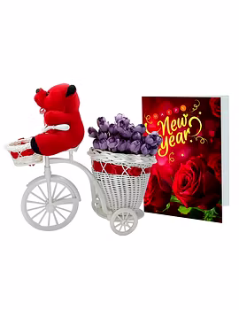 LOF New YearGift For Friends Girlfriend Best Wishes and Home Decoration Flower Basket Cycle with Greeting Card Teddy ST-03-LOF-BIGCYCFLOCRDTDY-03-sm