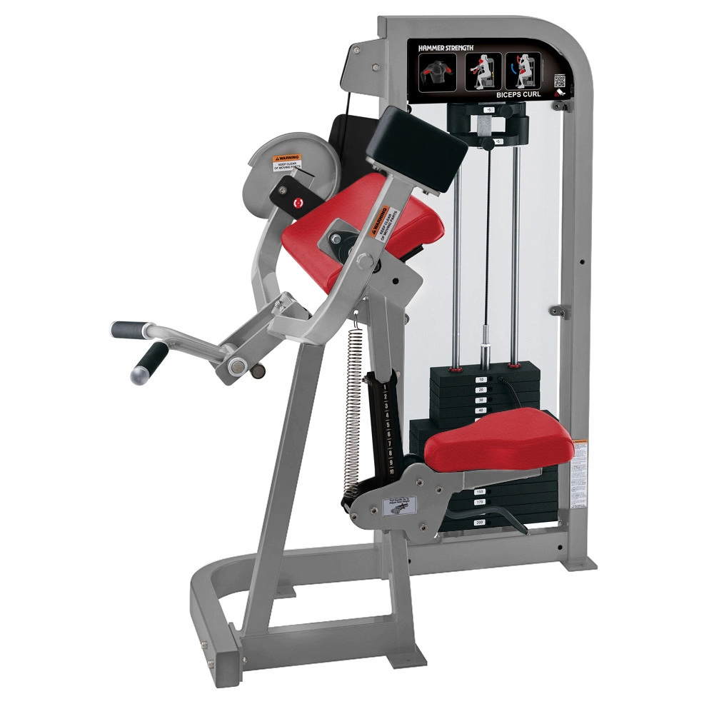 Hammer Strength Select Biceps Curl-FITEQU_1814