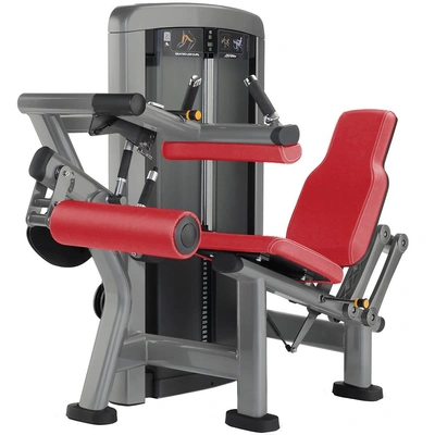 Insignia Series Seated Leg Curl