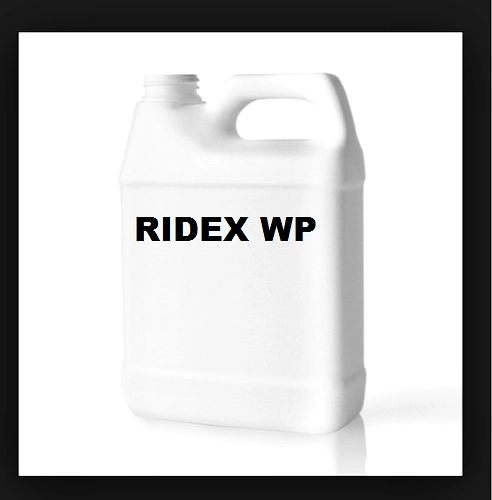 RIDEX WP - | Riddhi Enterprise