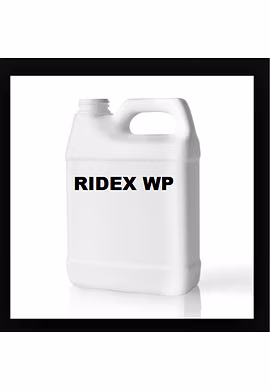 RIDEX WP