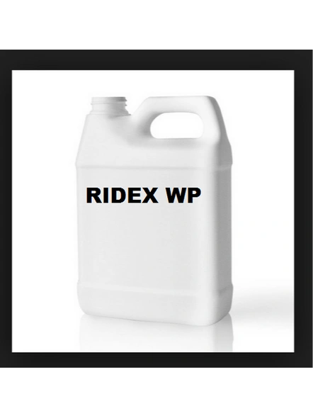 RIDEX WP-RDE069