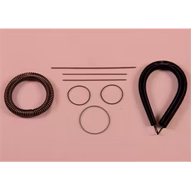 GARTER SPRING