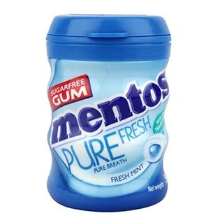 Mentos Pure Fresh Gum, Bottle, Fresh Mint Flavour, 56 g (28 Pieces)