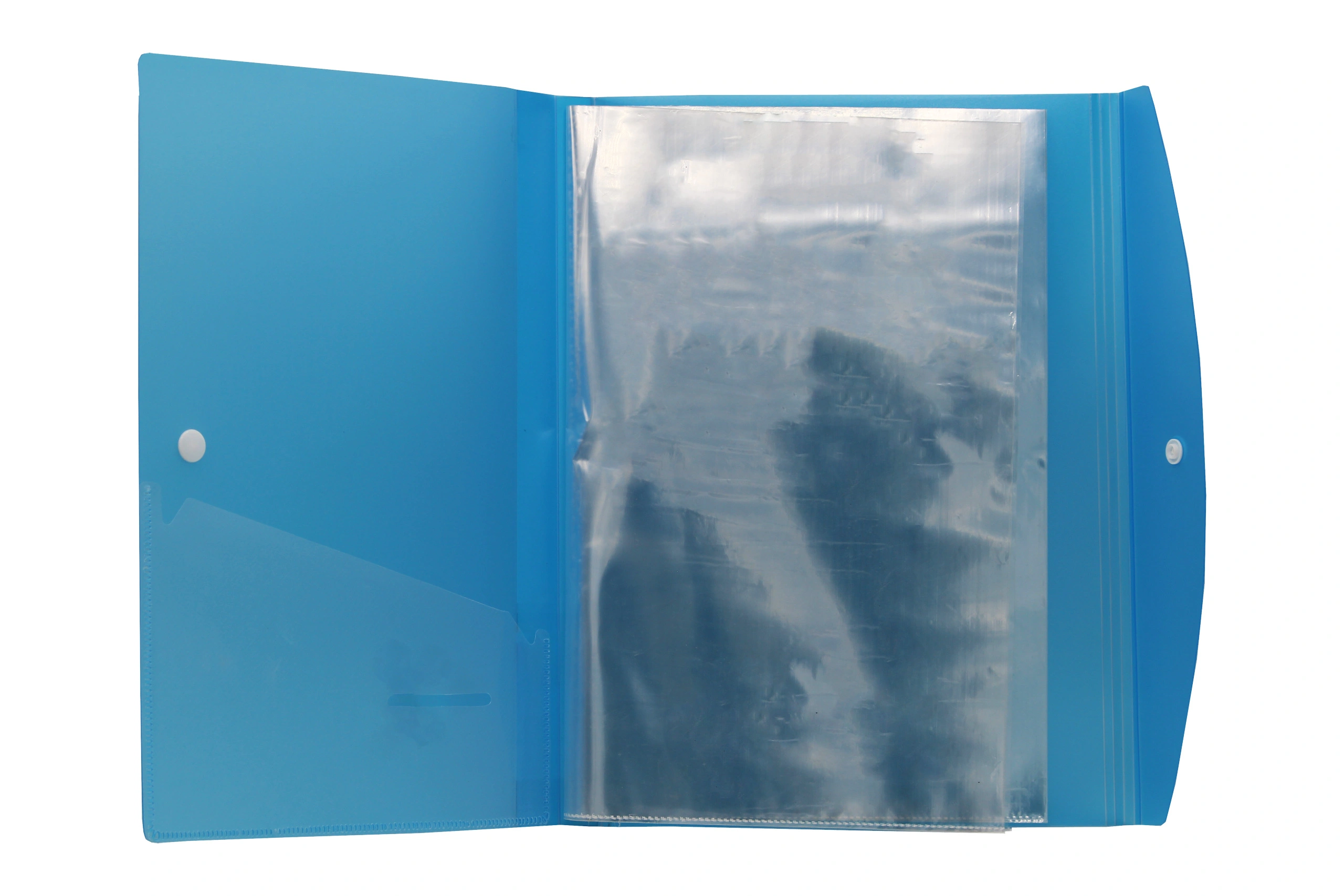 Eslee Multi-utility Clear Leaf Display File | 10 Leaves or Folders | Best for A4 Size Paper | Clear Book with Button Flap for Documents, Projects and Certificates | (ET112A410F)-10 Folders-A4-Blue-1