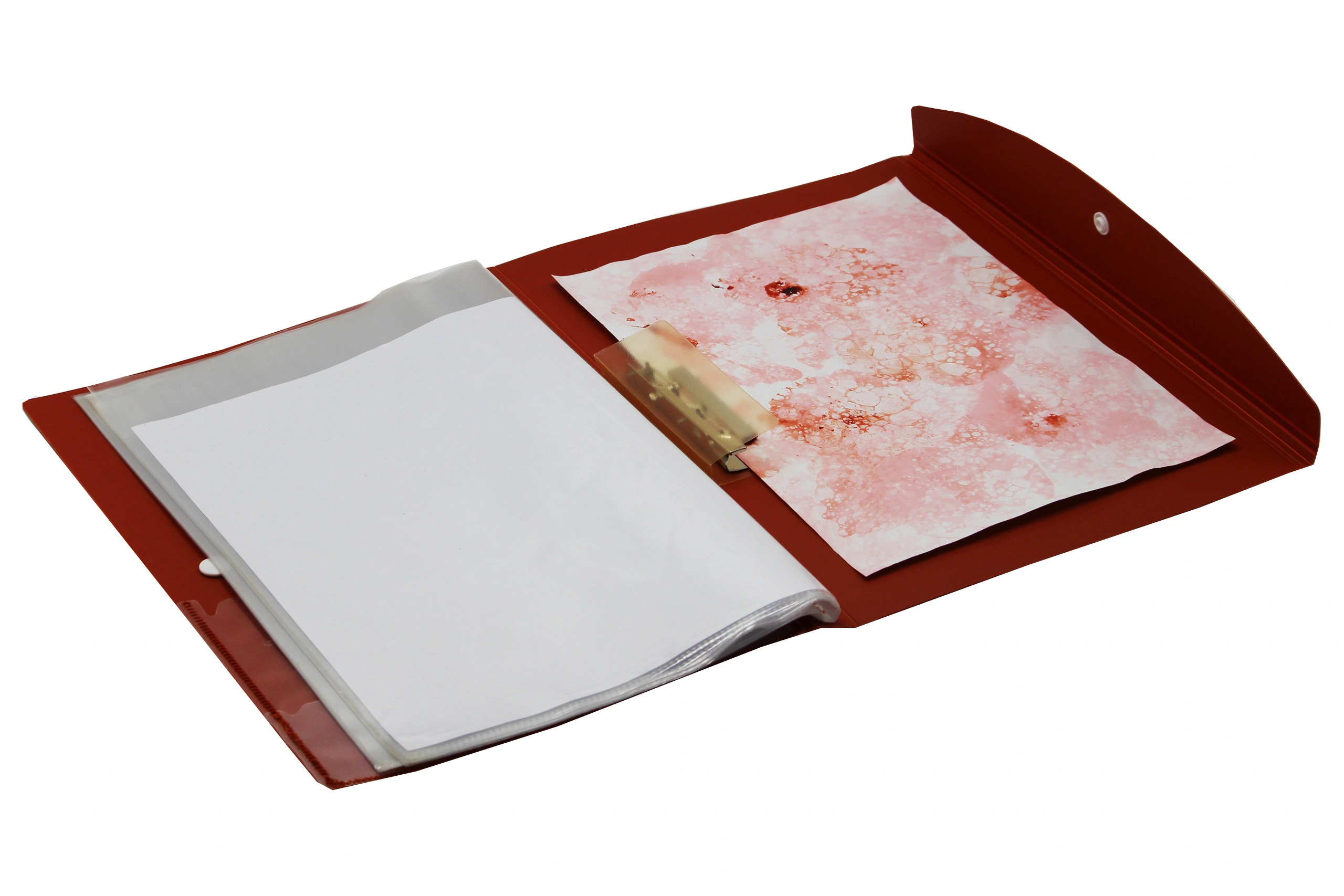 Keny Display File | Clear Leaves | Best for A4 Size | 30 Folders | Plastic Clip | Button Flap | (858A/30F)-Red-4