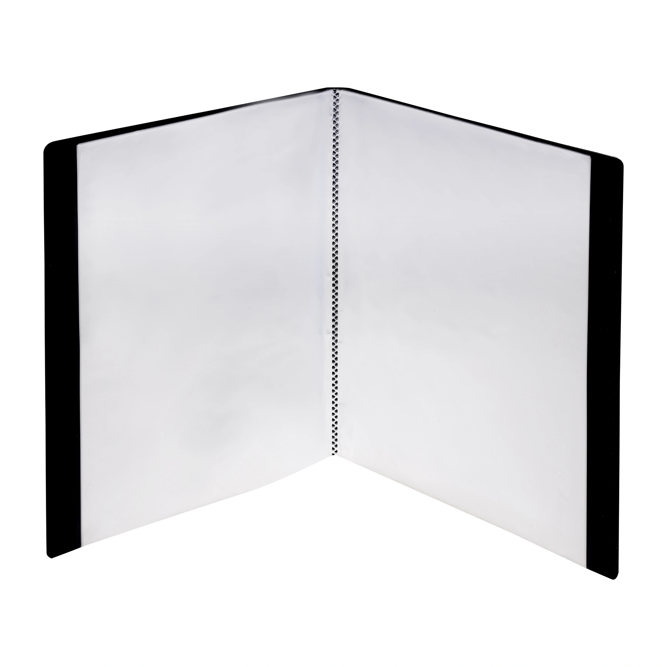 Eslee Display File | Leaves File | Best for A4 Size Paper | 80 Pockets Folder | (EO101A480)-Black-A4-80-1