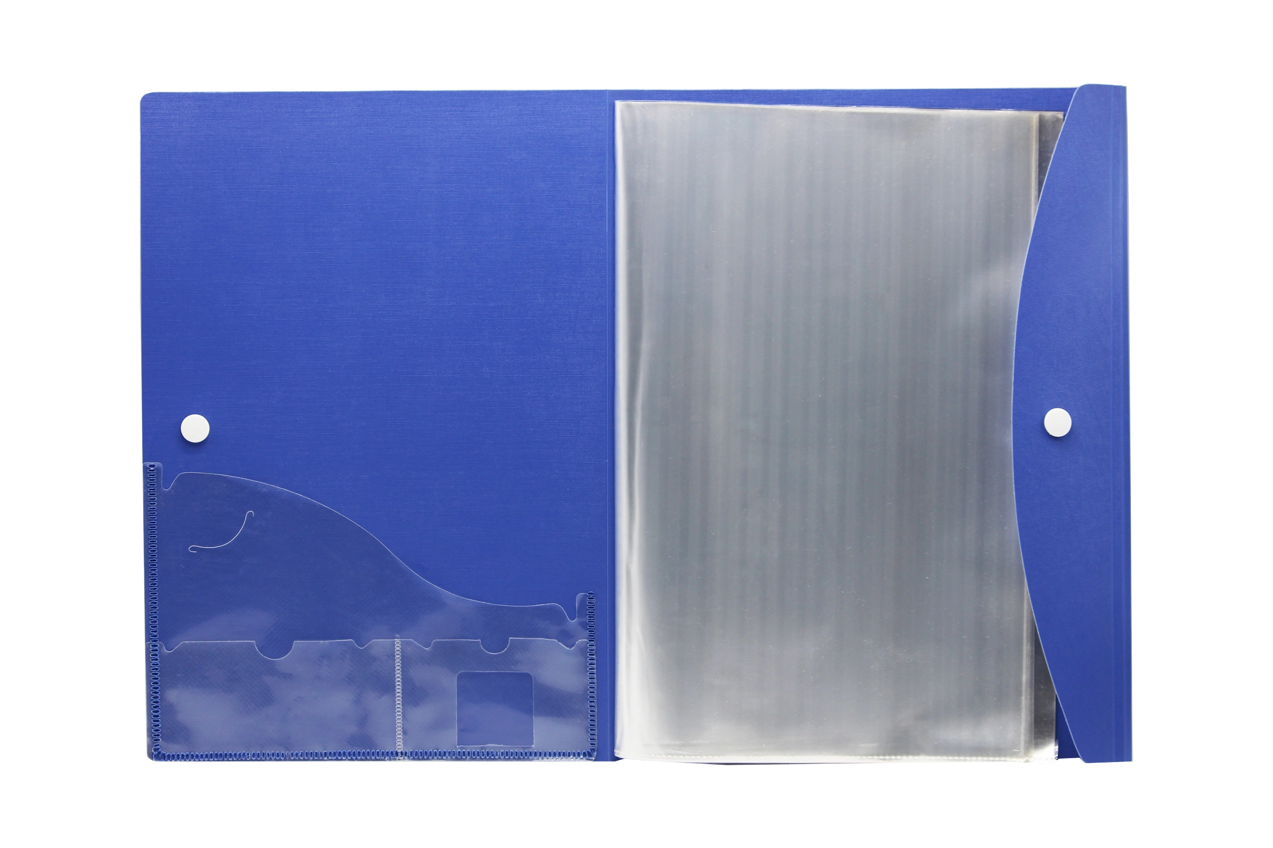 Keny Stationery Multi-utility Clear Leaf Display File | 30 Leaves or Folders | Best for A4 Size Paper | Clear Book with Button Flap for Documents, Projects and Certificates | (858A430F)-BLUE-A4-30 Folders-1