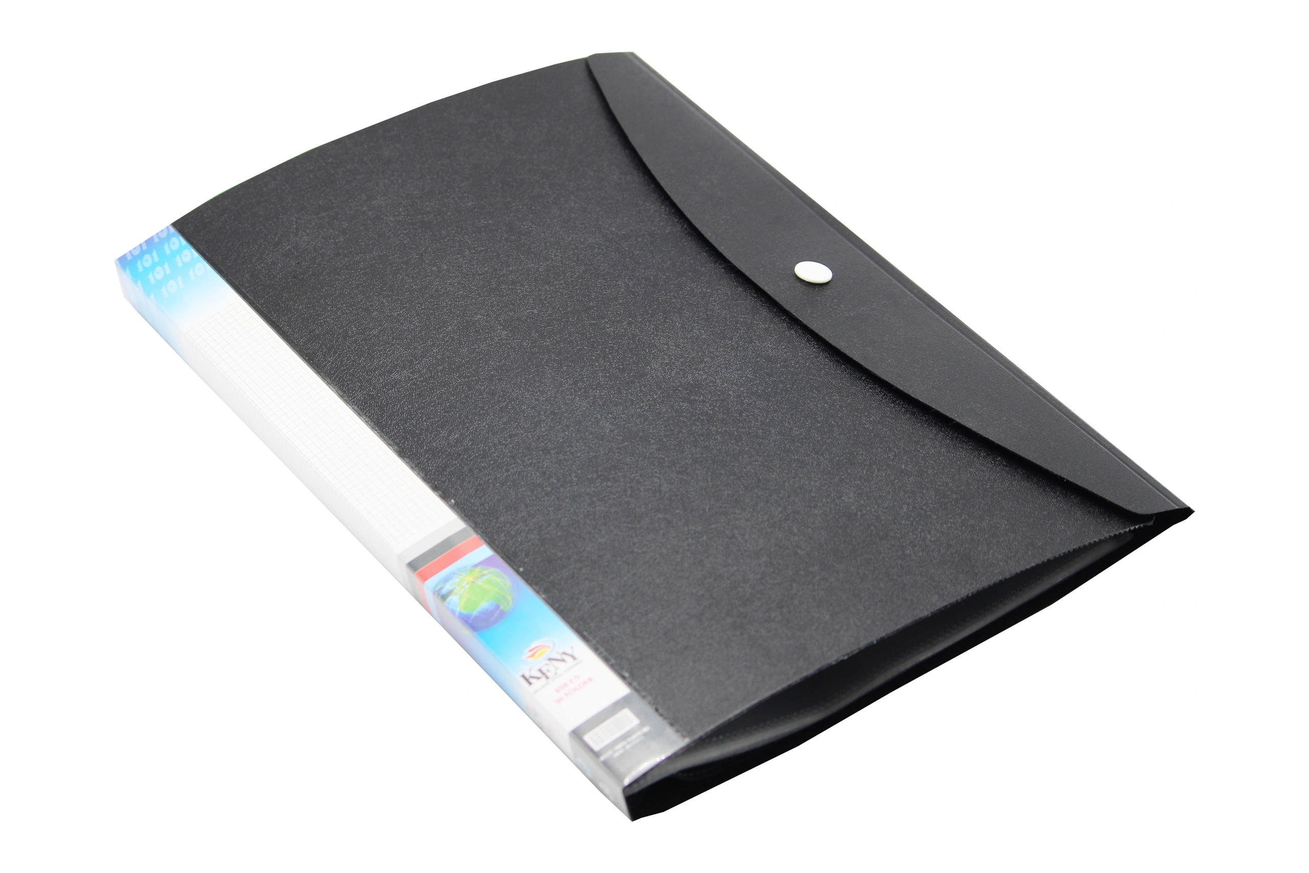 Keny Display File | Clear Leaves | Best for A4 Size | 20 Folders | Plastic Clip | Button Flap | (858A/20F)-858A20FBLACK