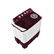 6.5 kg Semi Automatic Washing Machine (Burgundy) WTT65BRT-CONSU2954-sm
