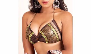 Hand Embroidered Brown Backless Halter Blouse