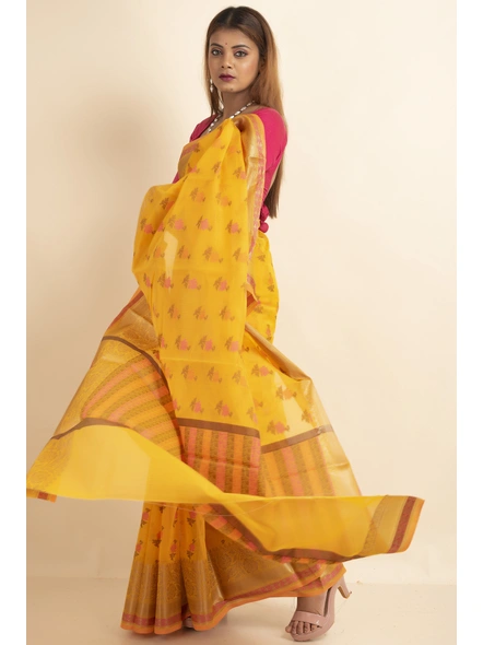 Golden Cotton Silk Multi Butti Banarasi Saree with Blouse Piece-SAC-221002-3