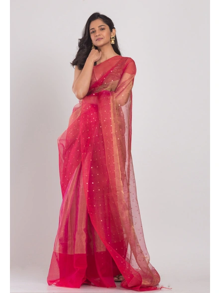 Pink Sequins Handwoven Resham Silk Saree-AS-20SL0542