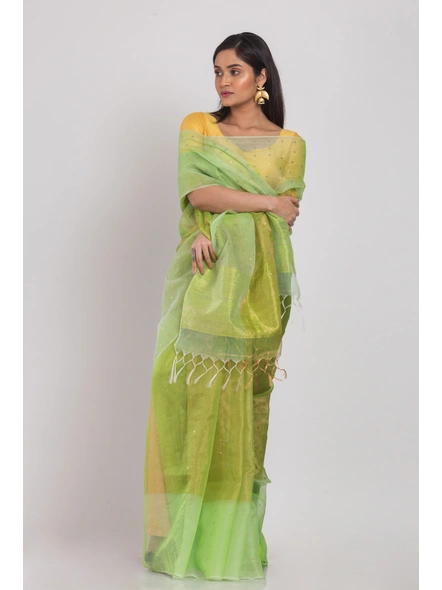 Green Sequins Handwoven Resham Silk Saree-Green-Sari-Silk-One Size-Adult-Female-3