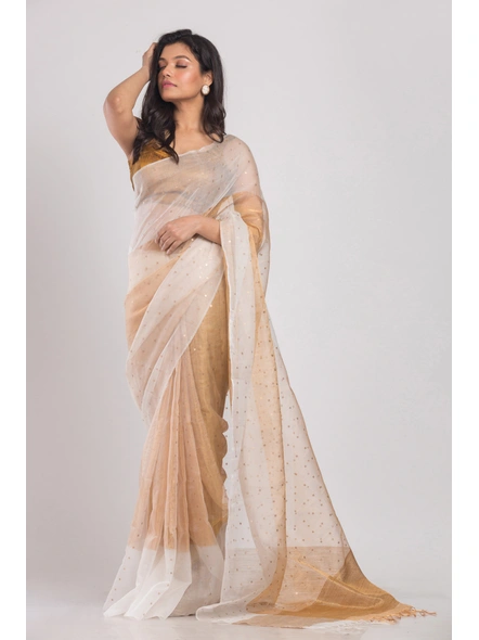 Beige Sequins Handwoven Resham Silk Saree-Beige-Sari-Silk-One Size-Adult-Female-3
