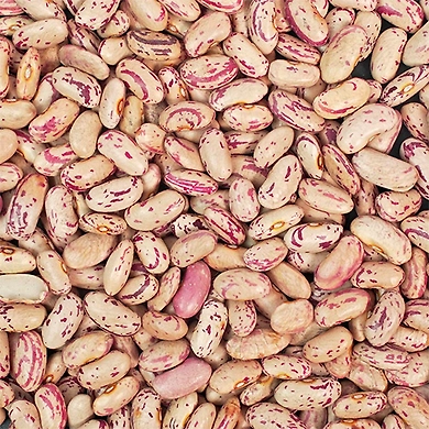 Rajma - Loose-VK109