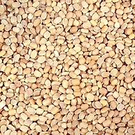 Urad Dal - Loose