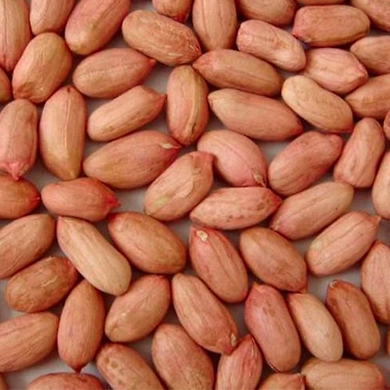 Ground Nut - Loose-VK118
