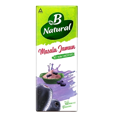 B Natural Juice Masala Jamun-SKU-6879