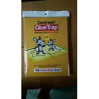 GLUE TRAP
