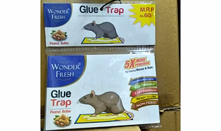 GLUE TRAP