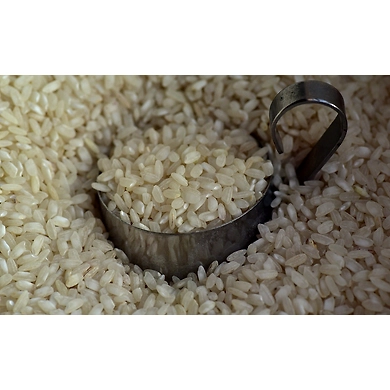 Kolum HMT-LAXMI-1126