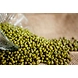 Moong Dal Green-LAXMI-1455-sm