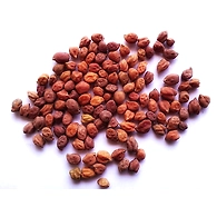 Chana Red