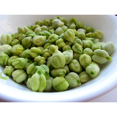 Chana Green-LAXMI-1495