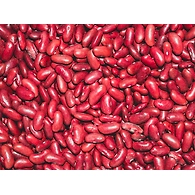 Rajma Red