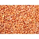 Masoor Dal Red-LAXMI-1567-sm