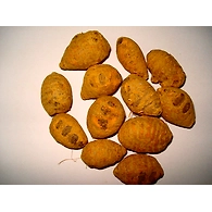 Haldi Rajapur