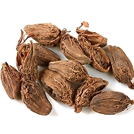 Tejpatta