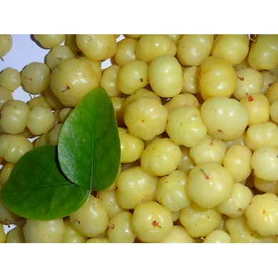 Avla-LAXMI-2047