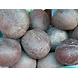 Khopra / Coconut Dry-LAXMI-2083-sm