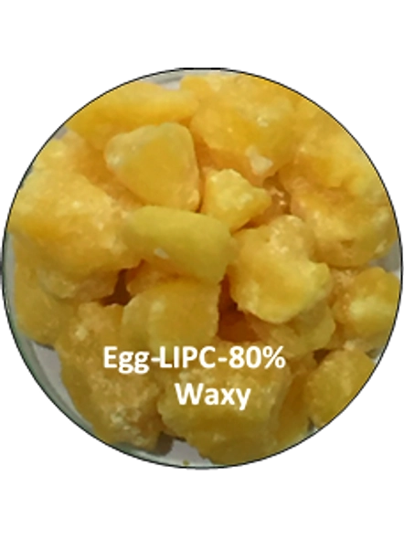 BLUEKITES Essential Phospholipids-80%