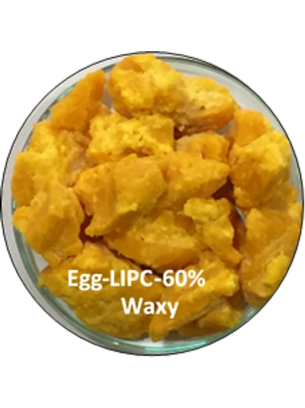 Bluekites essential Phospholipid 60%