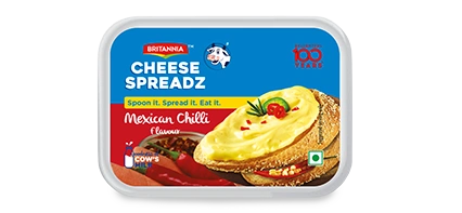 CHEESE SPREADZ MEXCIAN CHILLI-BRI-037-180g