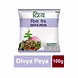 DIVYA PEYA-Groc_6670-sm