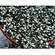 Urad Dal Chilka Kala-MAMRTK-025-sm
