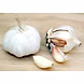 Garlic-MAMRTK-271-sm
