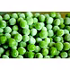 Frozen Matar-MAMRTK-362-sm