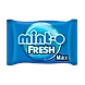 Mint O Fresh Max-ITC-MintO-001-sm