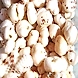 MAKHANA 1KG-125-sm